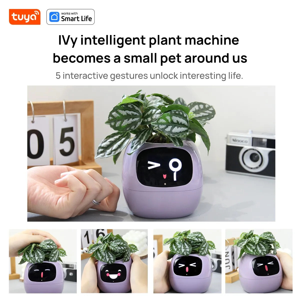 IVy Smart Planter