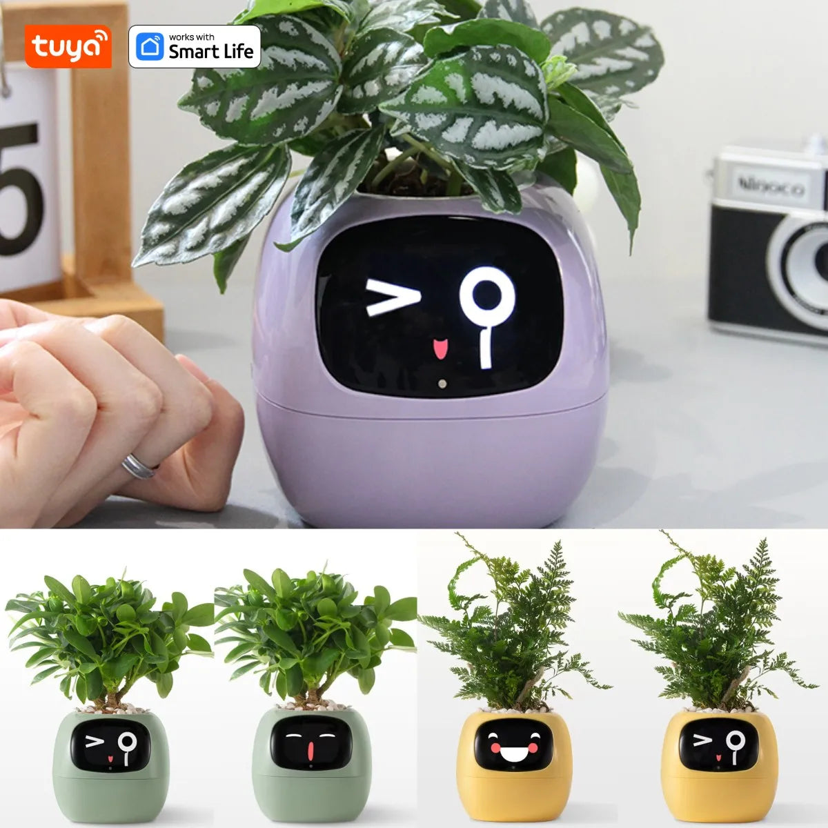 IVy Smart Planter